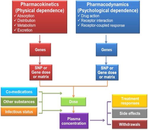 methadone for pain management side effects Arcata CA