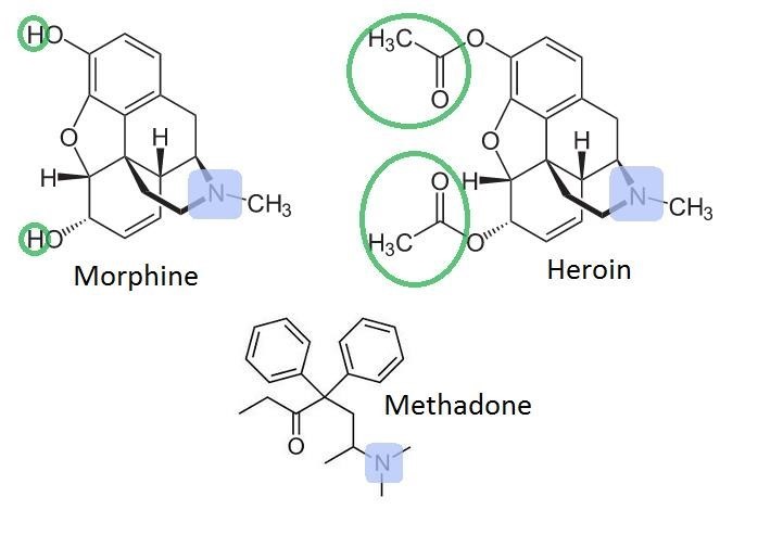 methadone prescribing Dunedin FL